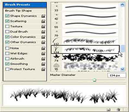Brush
